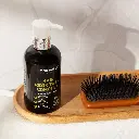 regrowth1.webp